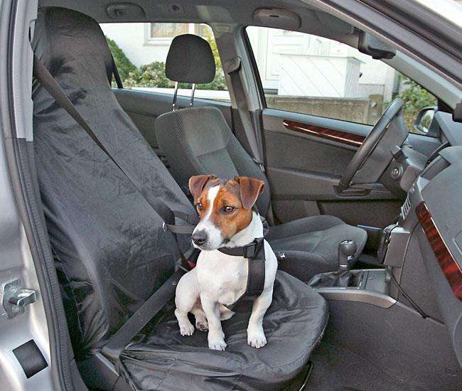 Autositzbeschermer voor honden - COVER-UP voorstoelbeschermer