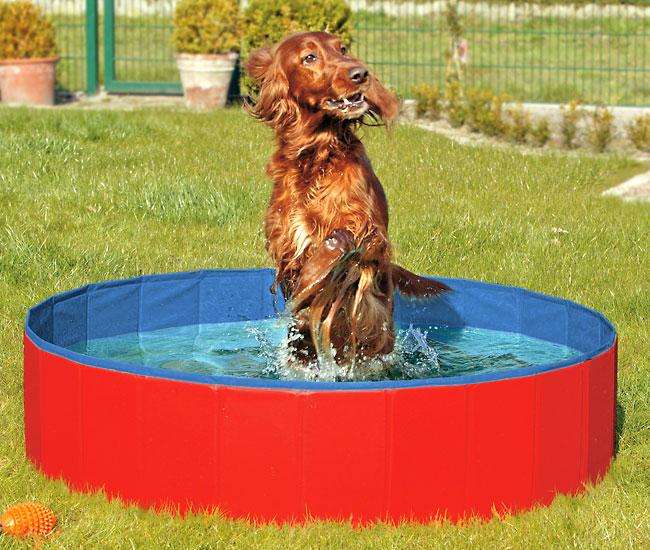Karlie Doggy Pool - Zwembad voor Honden 80 cm Rood-Blauw