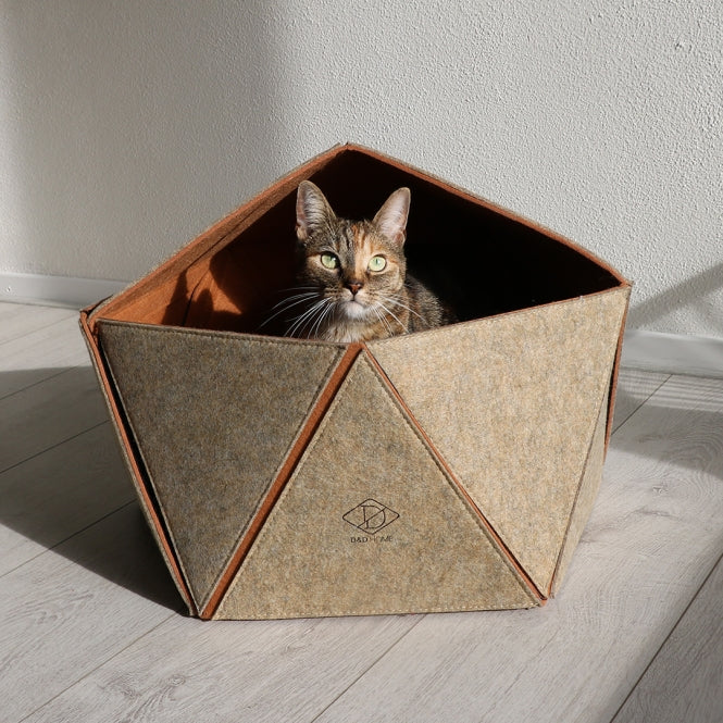 D&D Katzenhaus Logan - Zandbruin