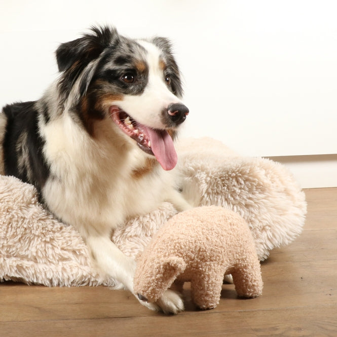 D&D Hundespielzeug Banjo Teddystoff - Beige - L