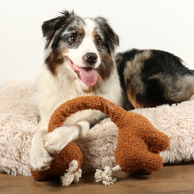 D&D Hundespielzeug George - Teddystof Speelgoed voor Honden