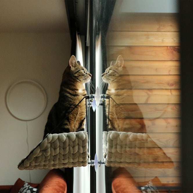 D&D Fensterbett Sofia - Lichtgrijs Raamligbed voor Katten