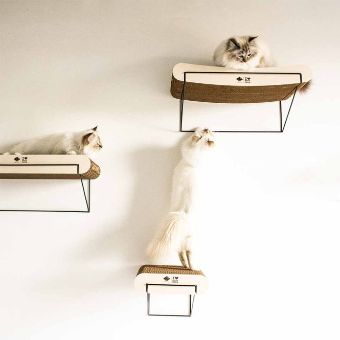 D&D gebogen wandplank van karton David - bruin/beige