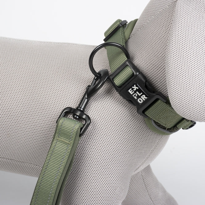 Duvoplus EXPLOR Ultimate Fit Control Halsband Classic - Undercover Green - S (34-38cm)