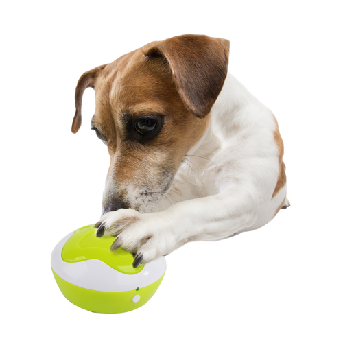 AFP Interactives - Dog Interpreter Trainingsknopjes Set