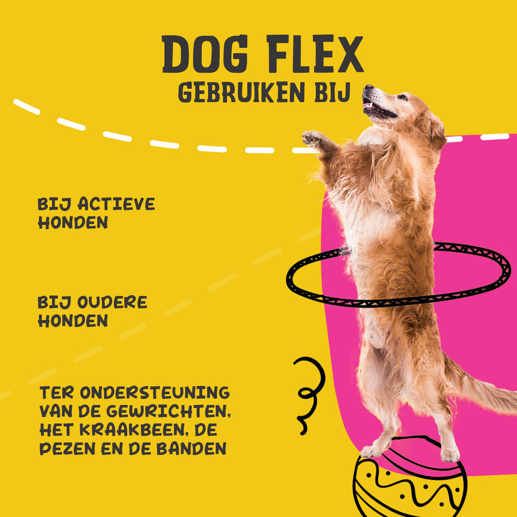 Excellent Pets Dog Flex 500 ml - Gewrichtsvloeistof voor Honden