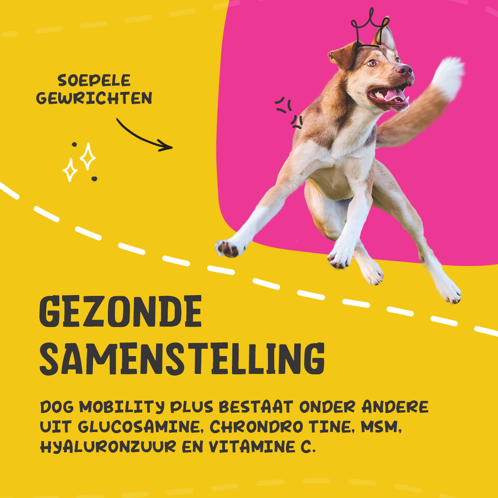 Excellent Pets Dog Mobility+ 750g - Gewrichtsverzorging voor Honden