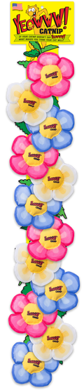 Yeowww! Display Strip Daisy's Flower Top 12 stuks