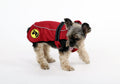 Dog Armor Knockdown Coat met Insect Shield - XXXXS (20cm)