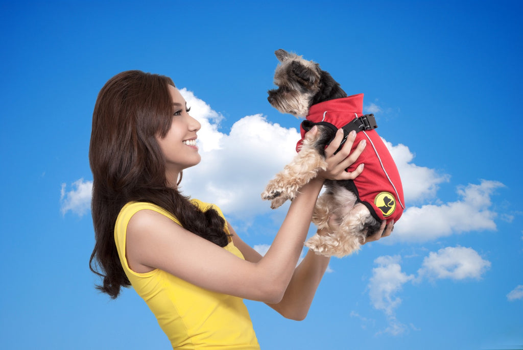 Dog Armor Knockdown Coat met Insect Shield - XXXXS (20cm)