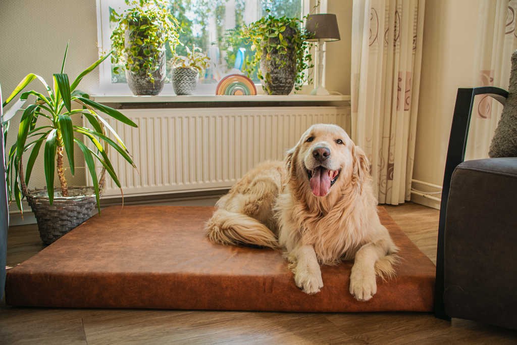 Let's Sleep Mellow Mattress Orthopedisch Kussen XL Cognac