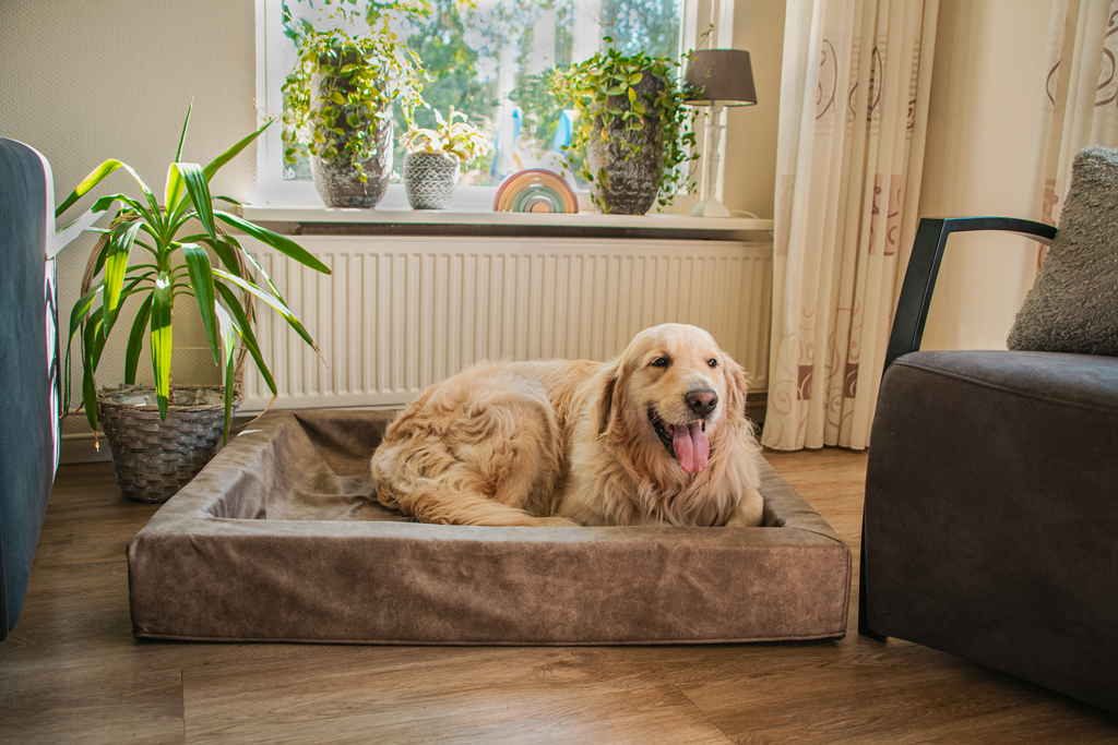 Let's Sleep Comfy Cushion Hondenmand L Taupe