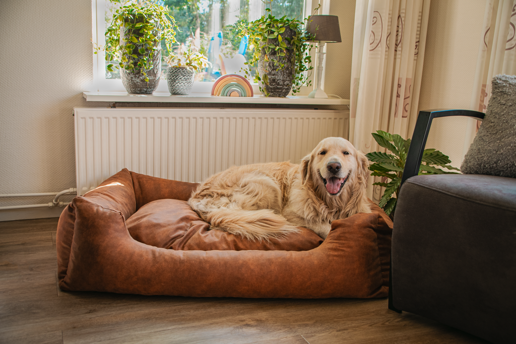 Let's Sleep Sweet Dreams Hondenmand Met Kussen L Antraciet