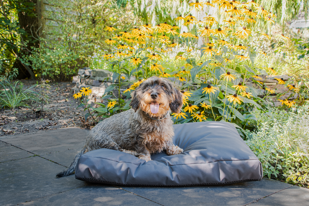 Let's Sleep Cushy Cloud Hondenkussen Buiten M Antraciet