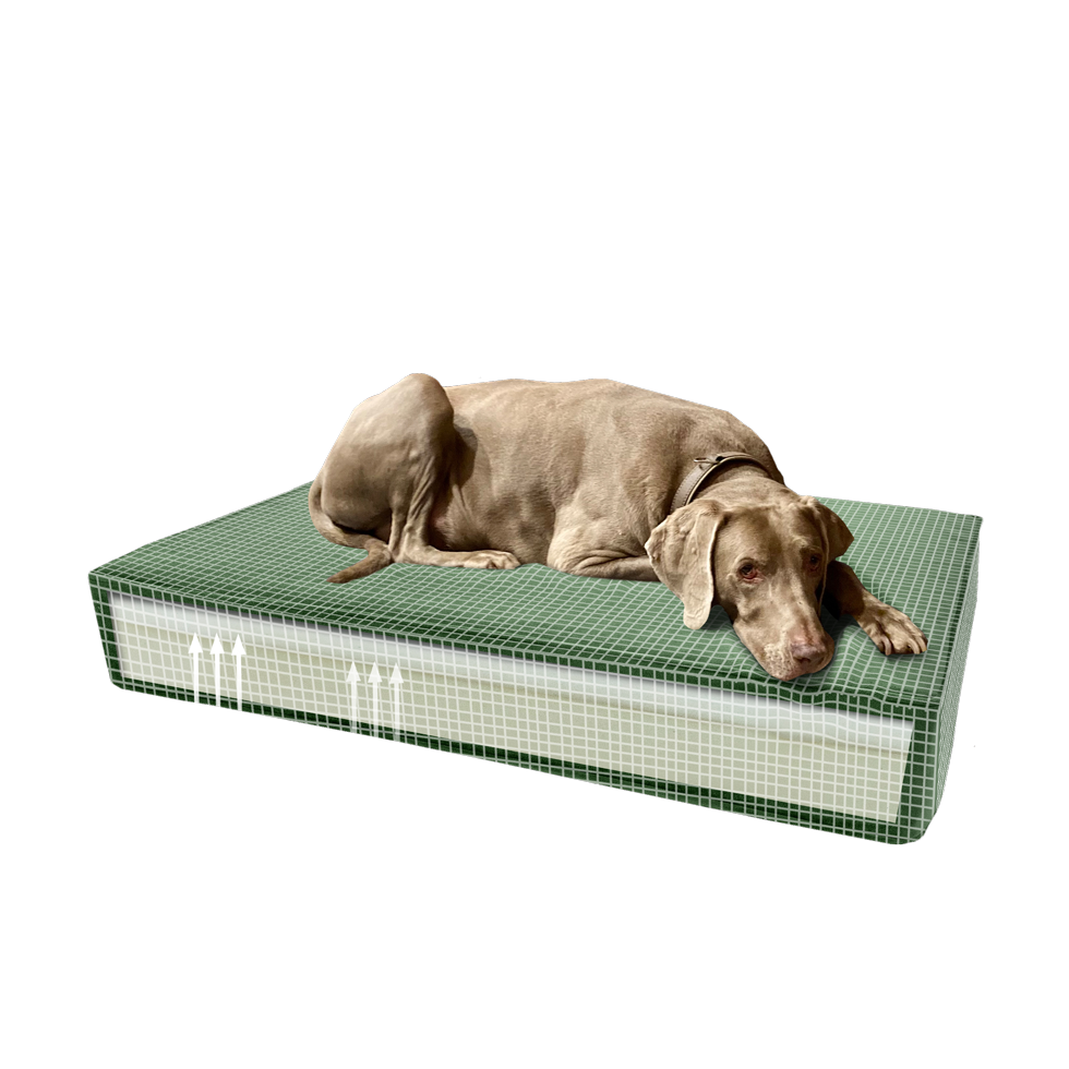 Madison Orthopedisch Kussen Velvet Groen - Maat S