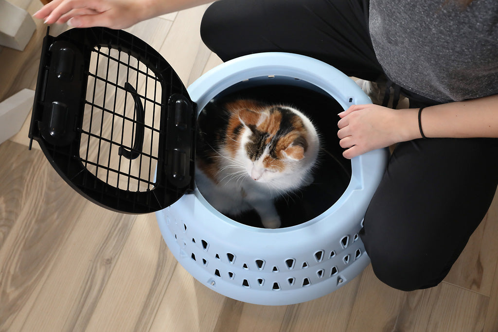 Petmate Get-A-Round Reismand voor Katten Blauw