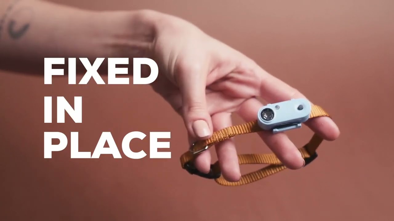 Tickless Mini Dog Oplaadbaar Zwart - Ultrasoon Tekenwerend