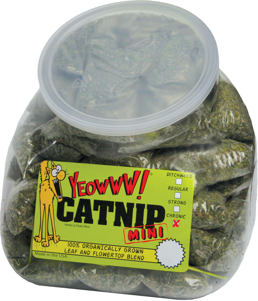 Yeowww! Minis Catnip - 50 zakjes à 4g