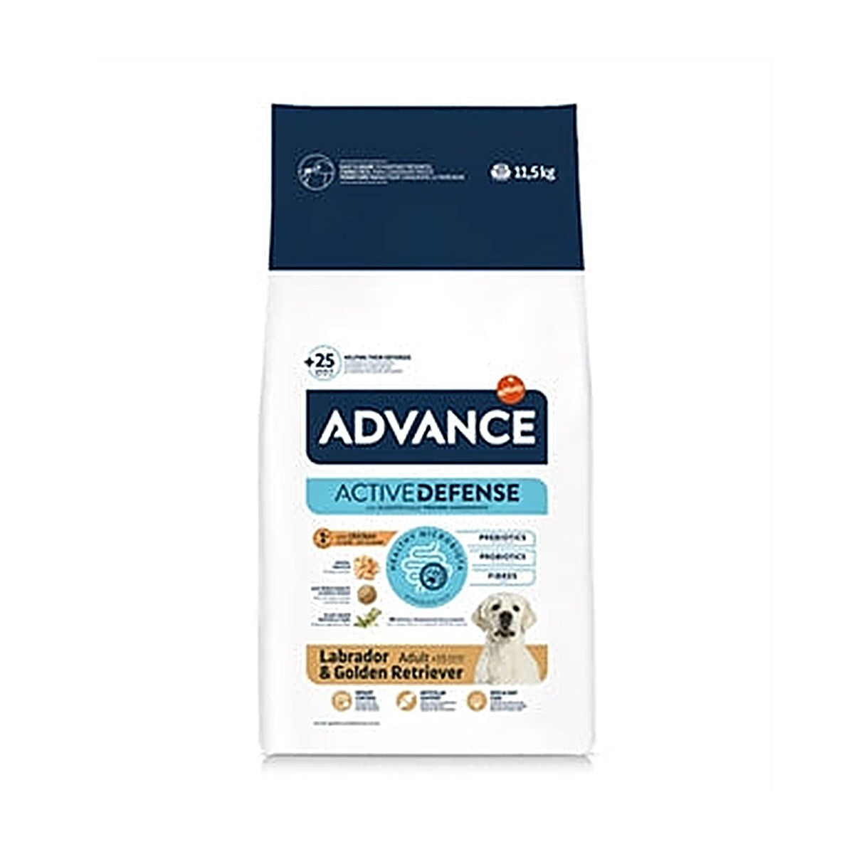 Advance Ad Labrador Retriever 11,5K