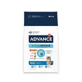 Advance Cat Adult Chick/rice 10 kg
