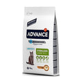 Advance Cat Junior Sterilized 10 kg