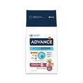 Advance Maxi Senior 12 kg
