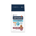 Advance Medium Senior 12 kg