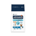 Advance Mini Adult 7 kg