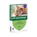 Elanco - Advantage Kat 80 >4 kg 4PIP