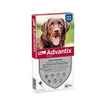 Elanco - Advantix Spot On 20-40 kg 6 Pip