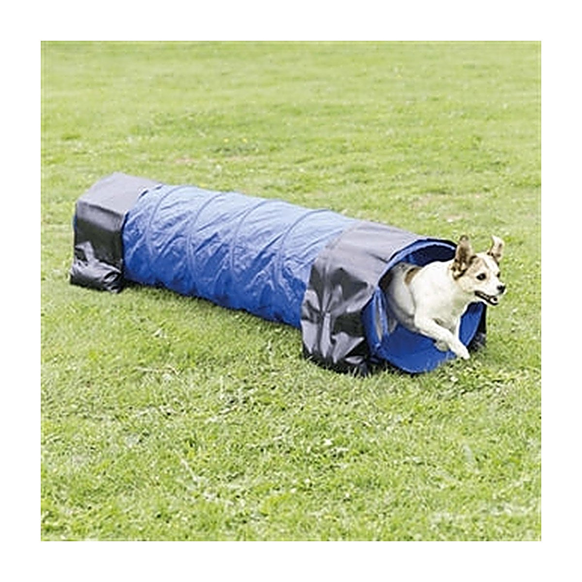 Trixie Agility Tunnel Blauw 40CMX2 meter