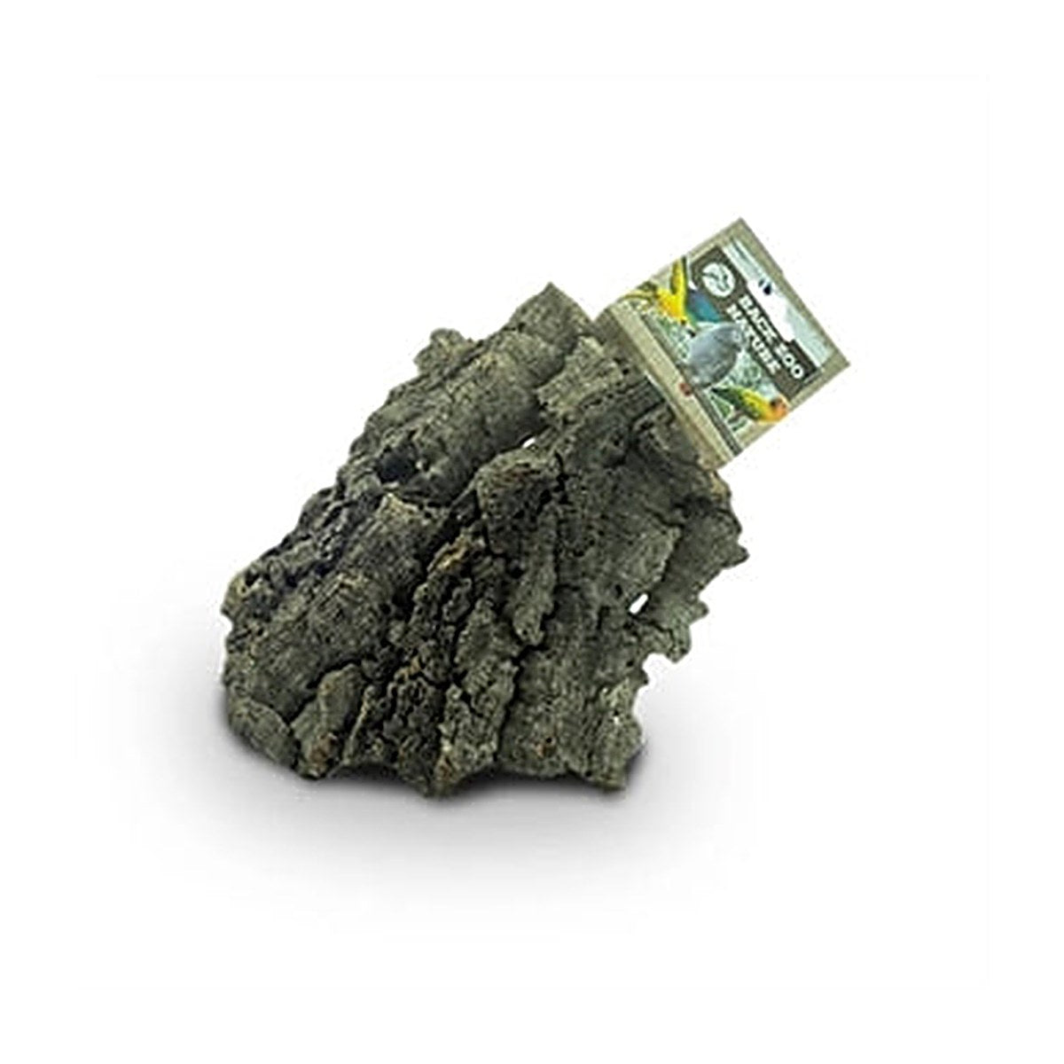 Back Zoo Nature Corky Chew M