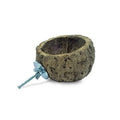 Back Zoo Nature Discovery Bowl 10 cm