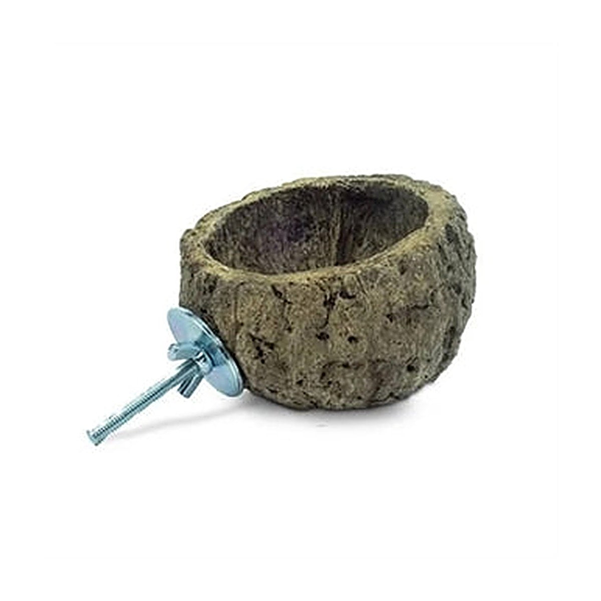 Back Zoo Nature Discovery Bowl 10 cm