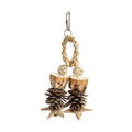 Back Zoo Nature Forest Ring