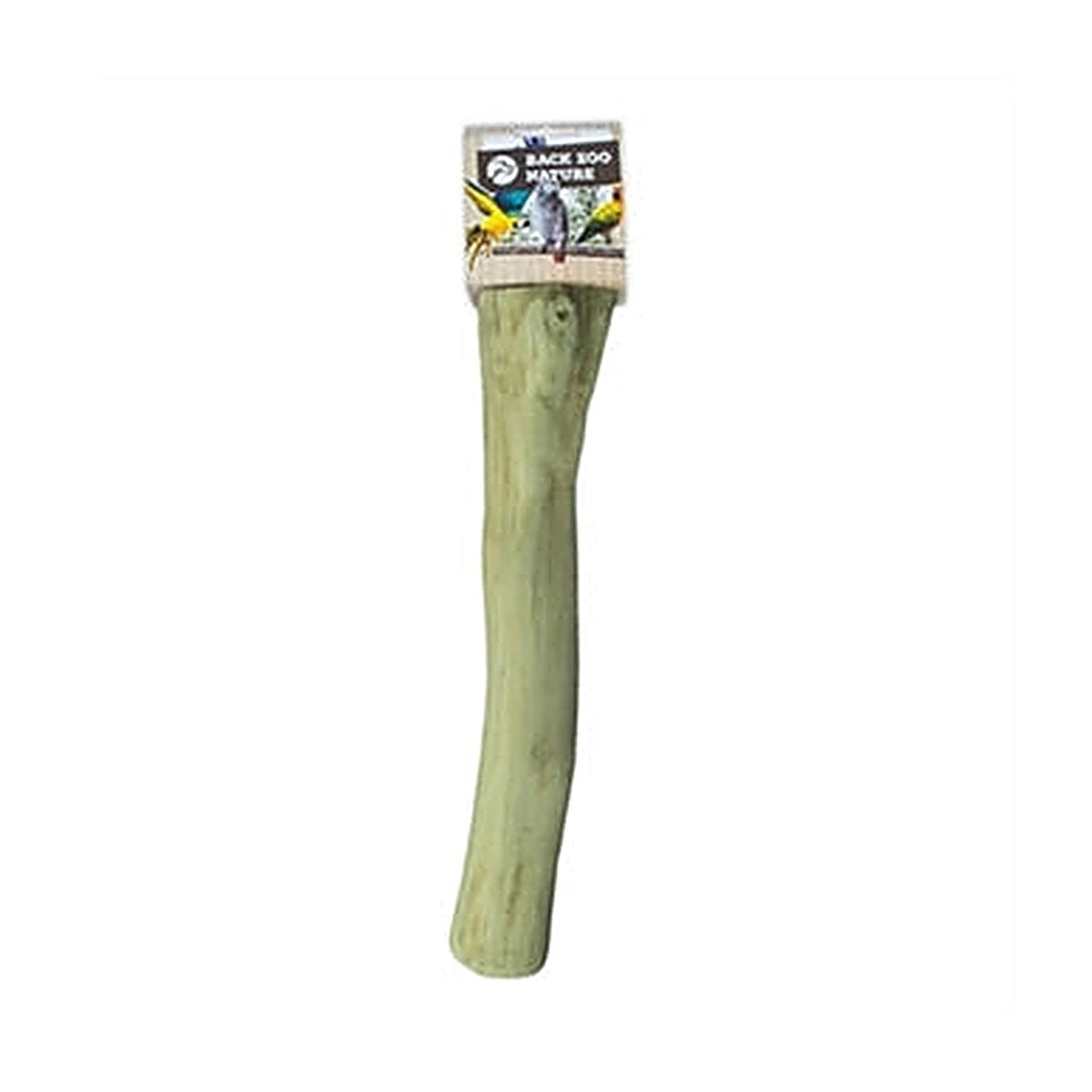 Back Zoo Nature Java Perch L