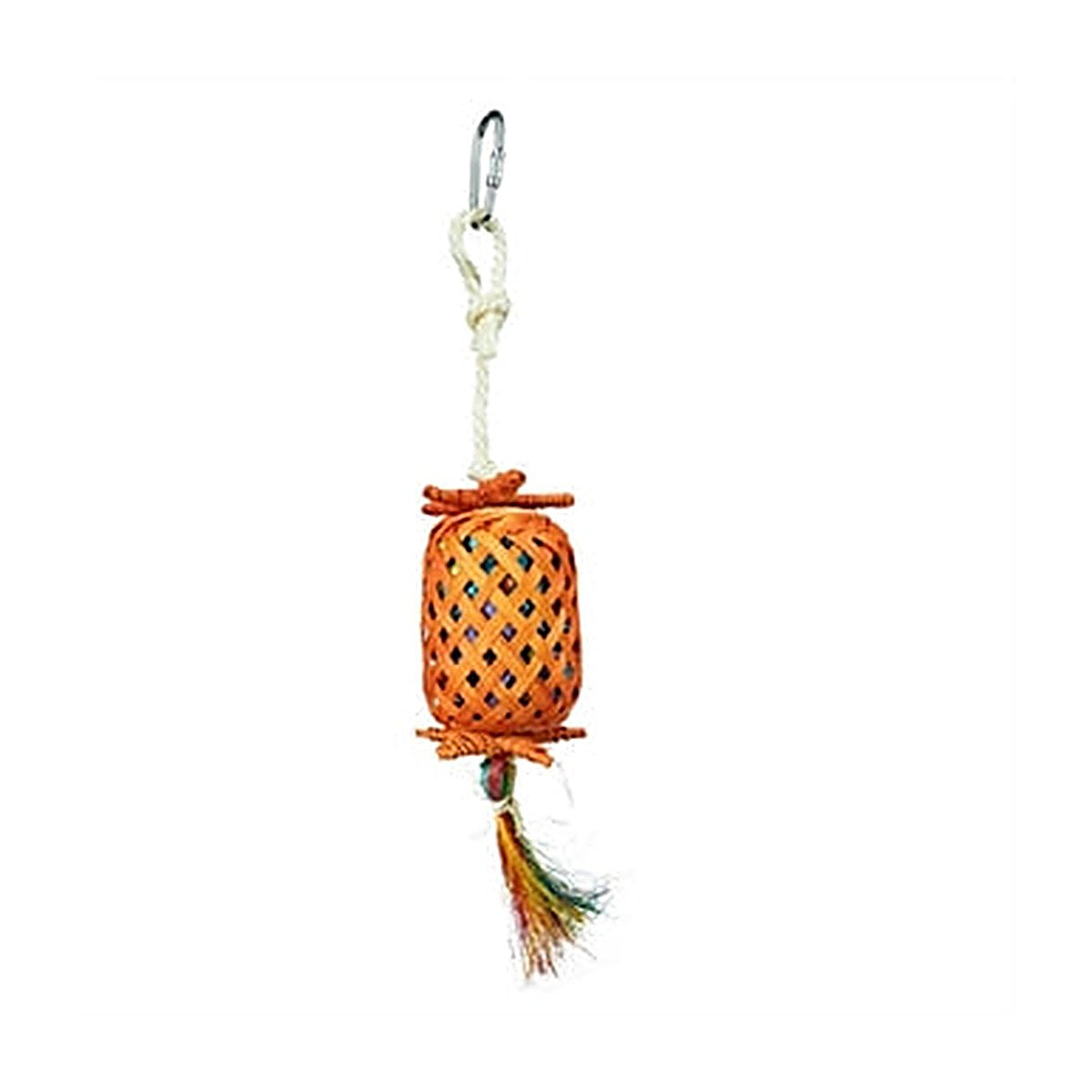 Back Zoo Nature Lantern Pinata