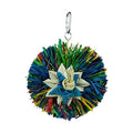 Back Zoo Nature Rainbow Star