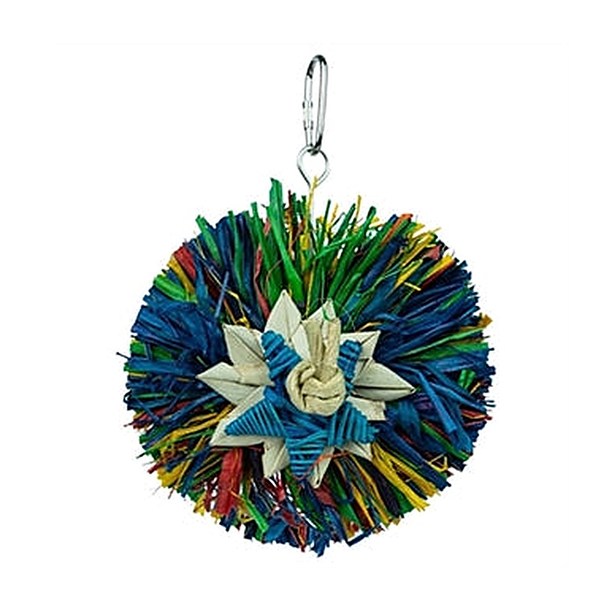 Back Zoo Nature Rainbow Star