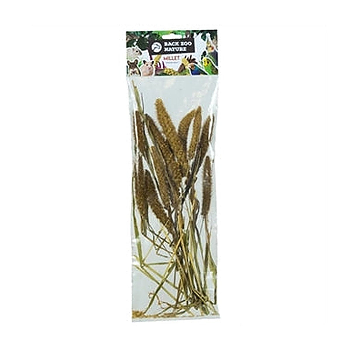 Back Zoo Nature Setaria Italic 50 gram