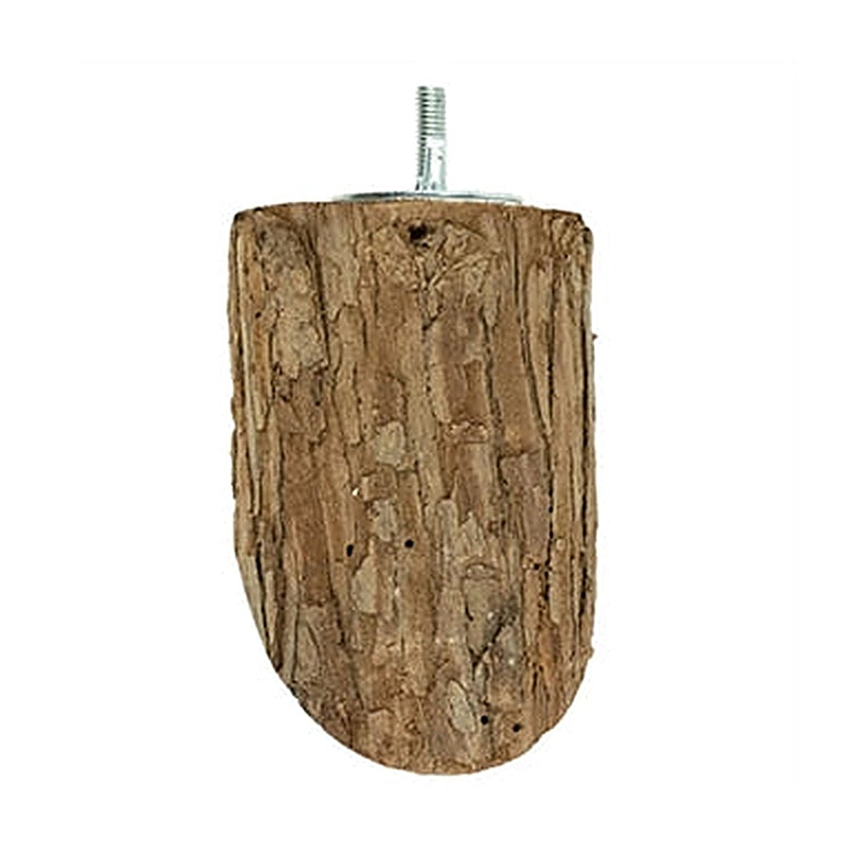 Back Zoo Nature Wood Slice Perch S