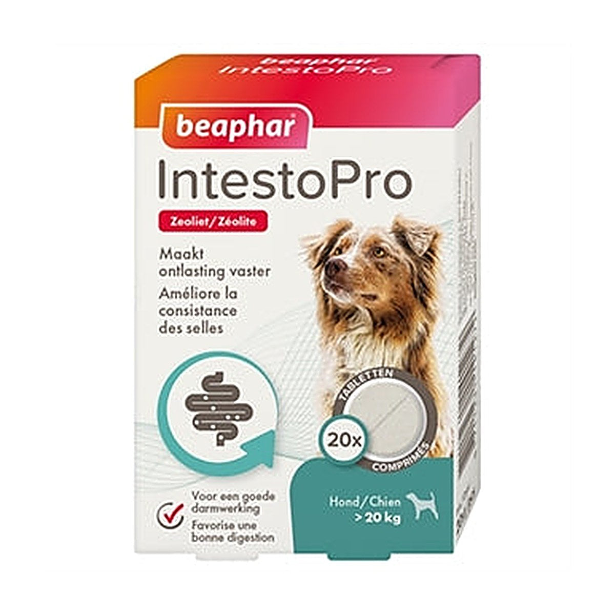 Beaphar Bea Intestopro Hond >20 kg 20 tabletten