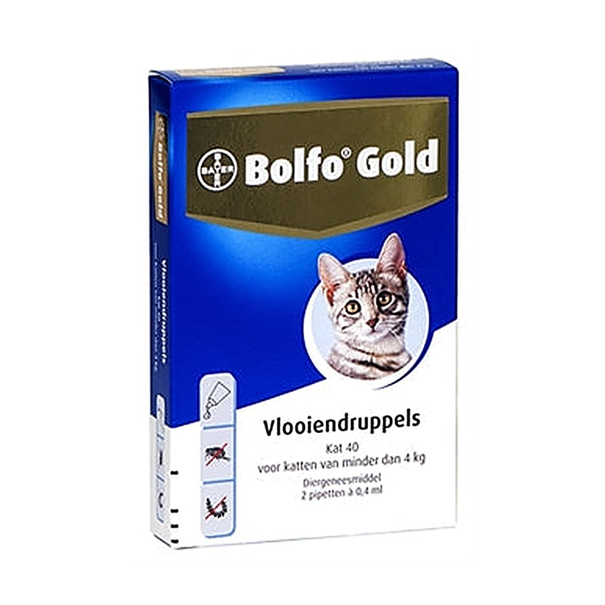 Bolfo Gold Kat 40 Drupp 2PIP