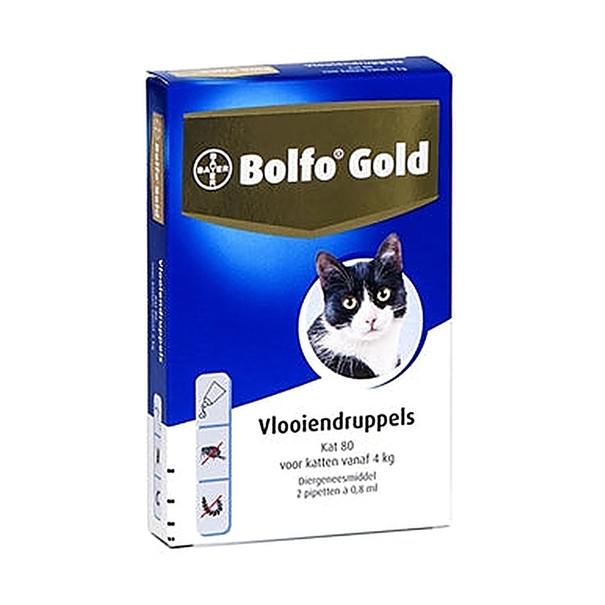 Bolfo Gold Kat 80 Drup 2PIP