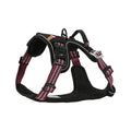 Zolux Bvk Tuig Rood S 43-56 cm