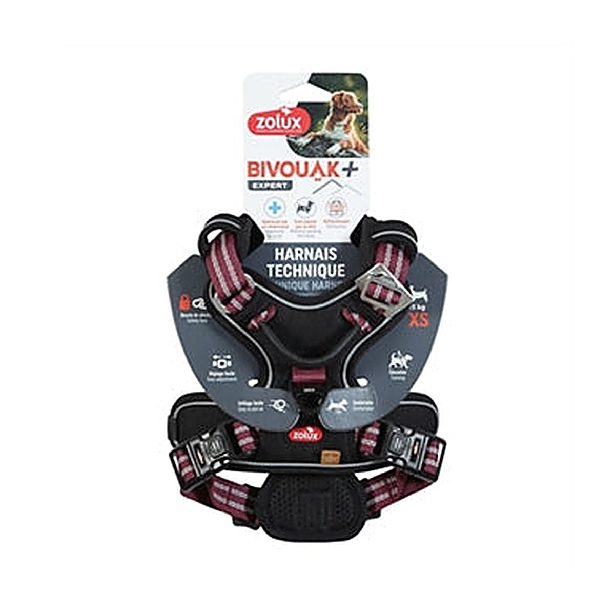 Zolux Bvk Tuig Rood Xs 33-43 cm