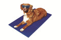 Pet-Star Koelmat - 65 x 50 cm