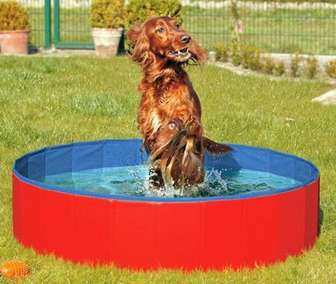 Karlie Doggy Pool - Zwembad voor honden 160 cm Rood-Blauw