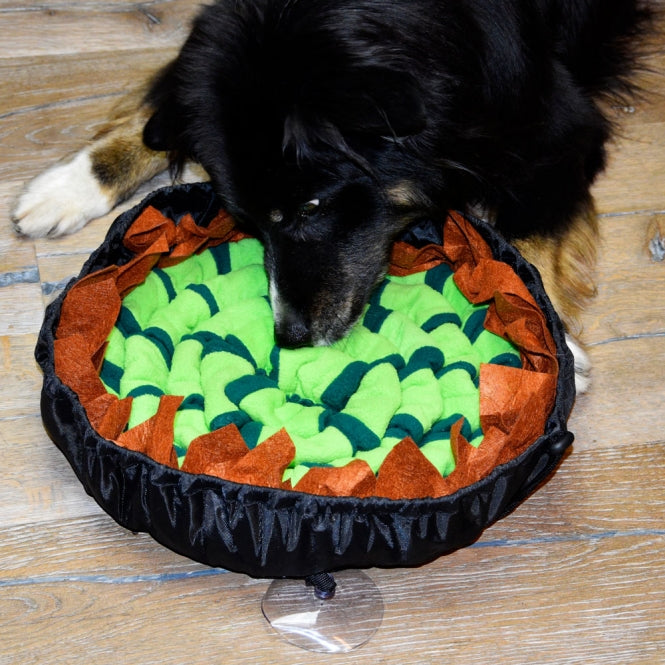 PROCYON Snuffelmat voor Honden