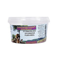 Dierendrogist Echinacea Bio Capsules 50 stuks